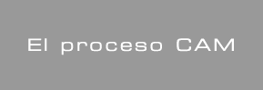 El Proceso CAM