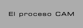 El Proceso CAM